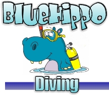 Blue Hippo Diving